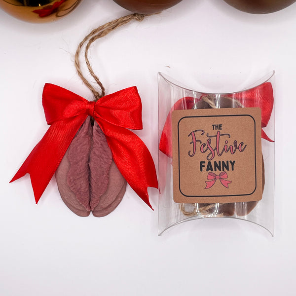 Biglietto Di Natale Umoristico Festive Fanny – Vuoto Interno Con Busta Rossa, Progettato Nel Regno Unito Da Brainbox Candy
