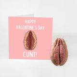 Happy Valentine's Day C*nt! Greetings Card