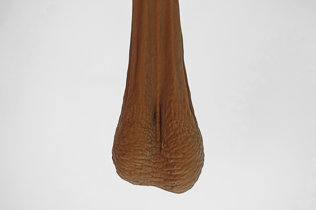 The Ultimate Billy's Ballbag