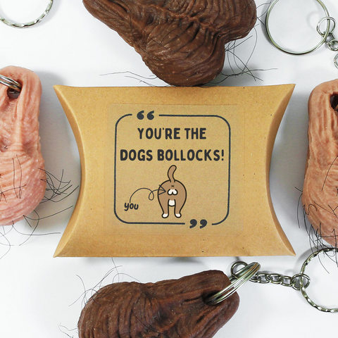 You're The Dogs Bollocks!