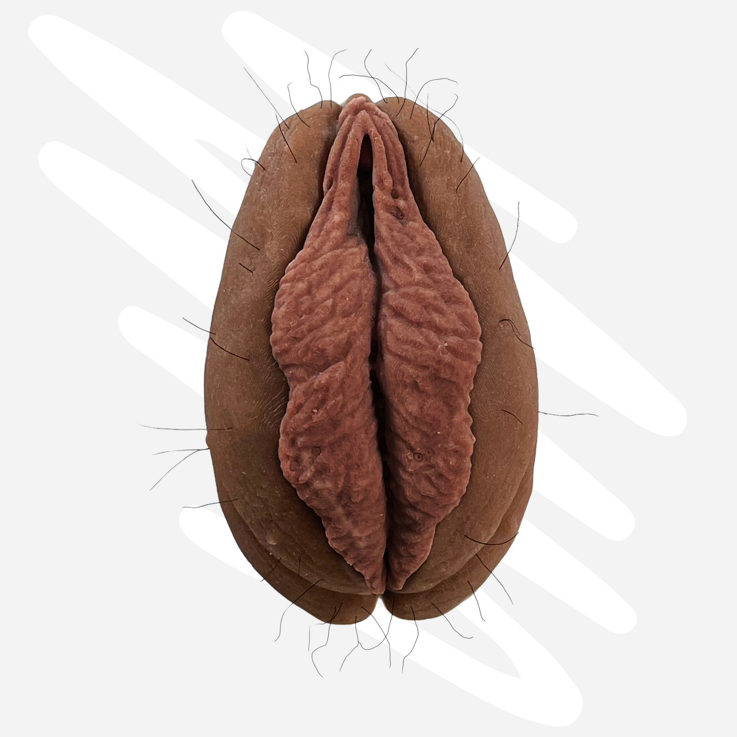 The Fanny Magnet