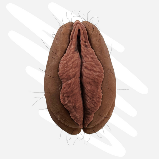 The Fanny Magnet