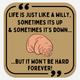 Life Is Just Like A Little Willy...