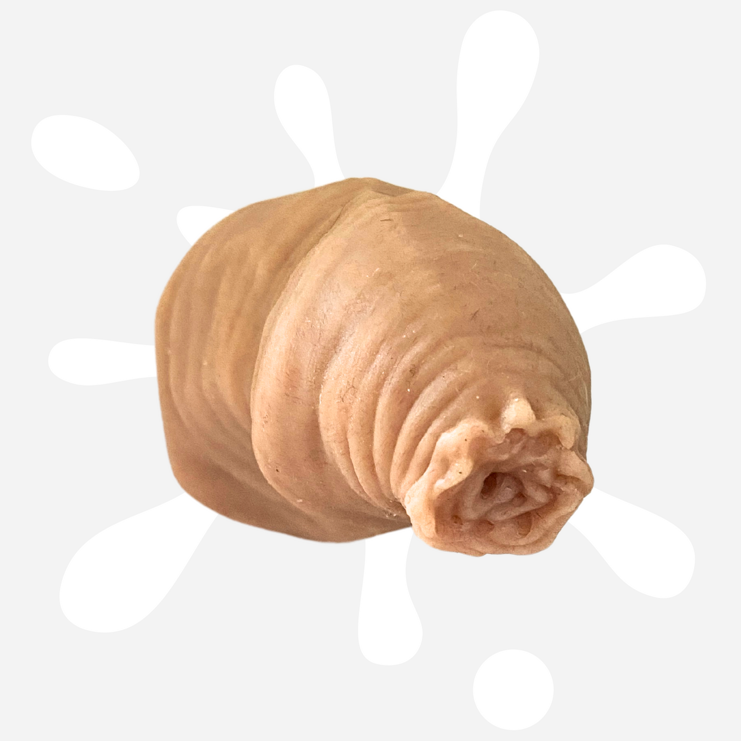 Little Willy Magnet