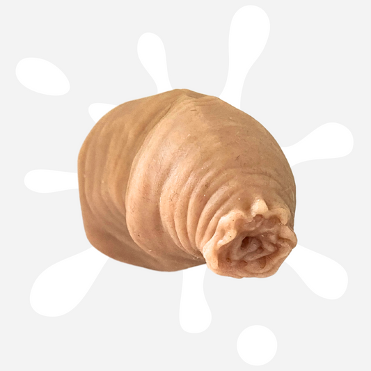 Little Willy Magnet