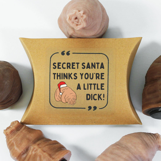 Secret Santa Thinks You're A Little Dick