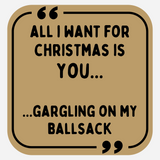 All I Want For Christmas Is You...Gargling On My Ballsack