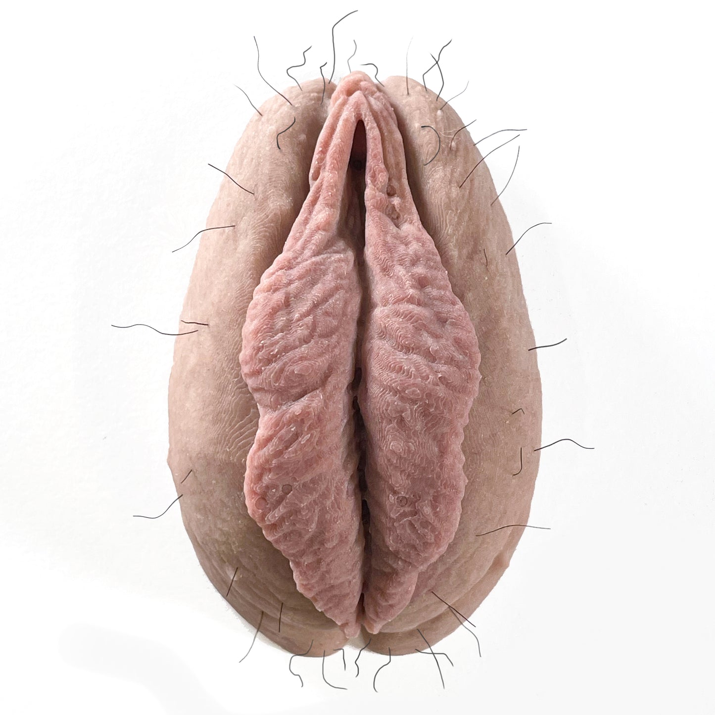 The Fanny Magnet