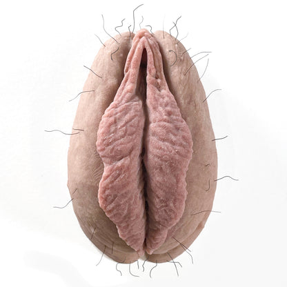 The Fanny Magnet