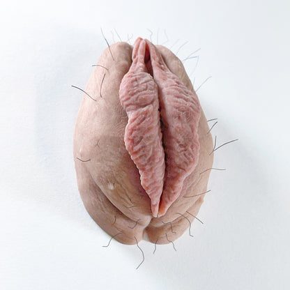 The Fanny Magnet