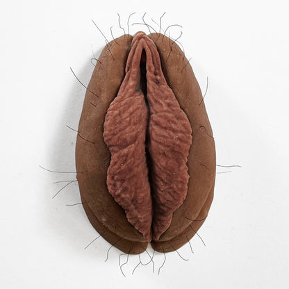 The Fanny Magnet