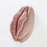 The Fanny Magnet - VALENTINES