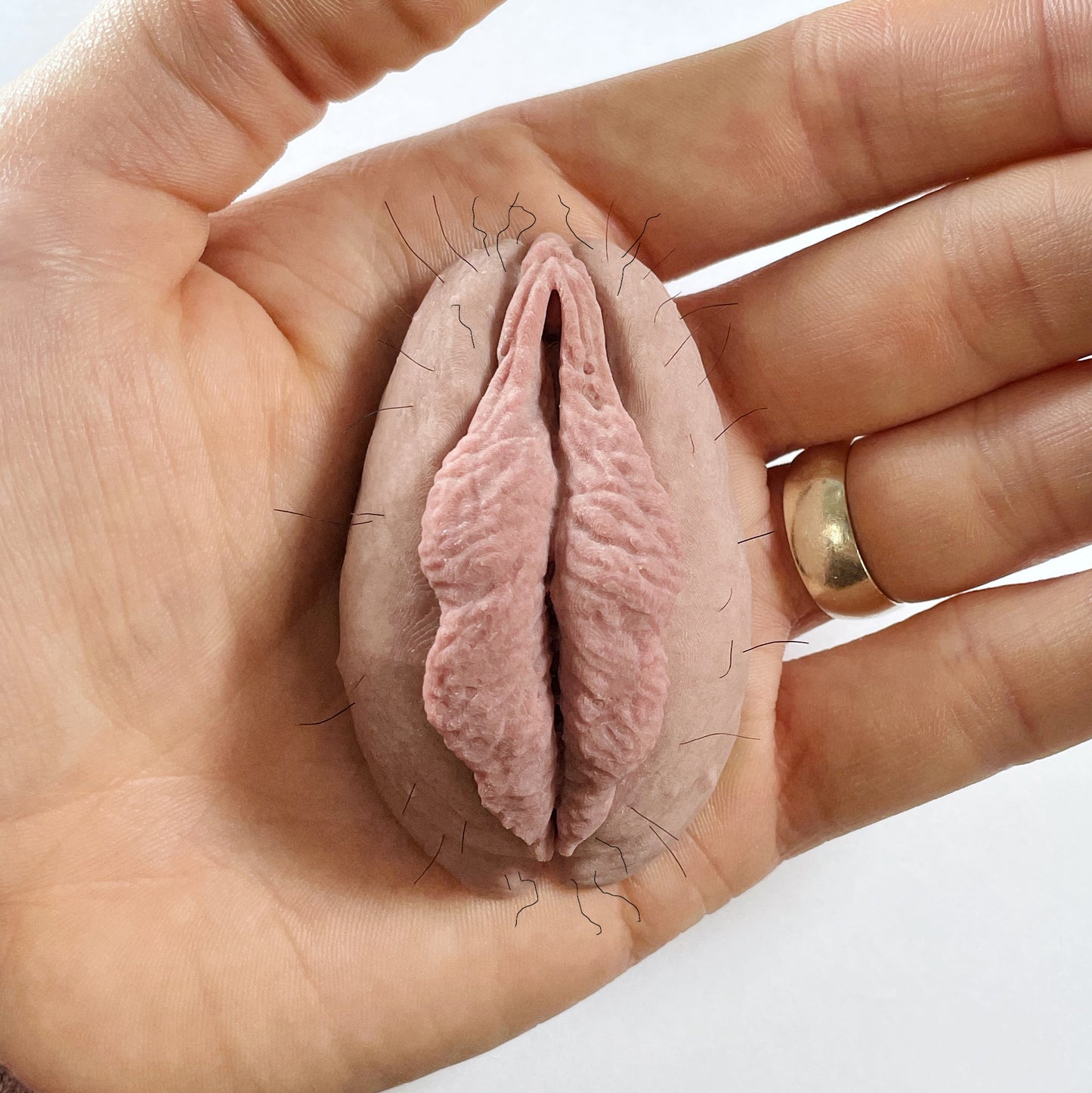 The Fanny Magnet