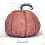 Hairy Halloween Ballbag Pumpkin