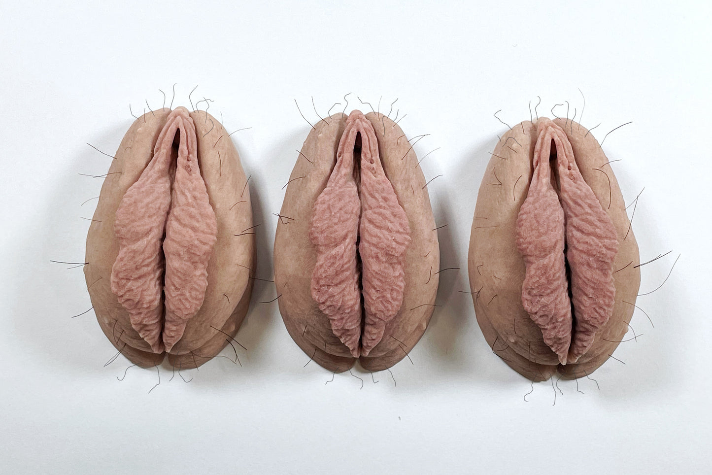 The Fanny Magnet