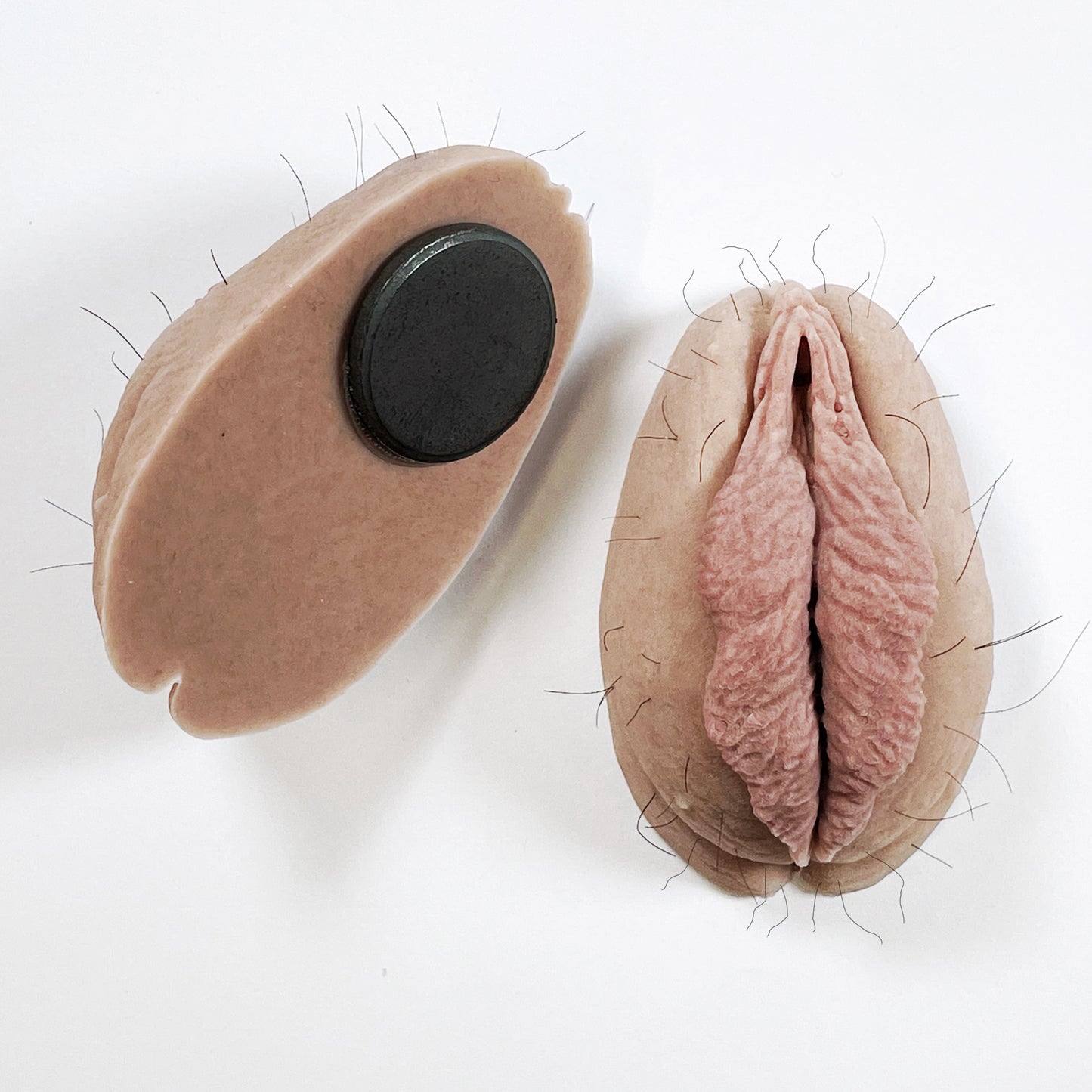 The Fanny Magnet