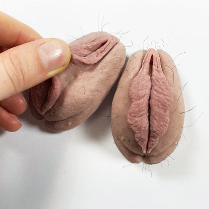 The Fanny Magnet