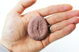 Billy's Bumhole - Fridge Magnet VALENTINES