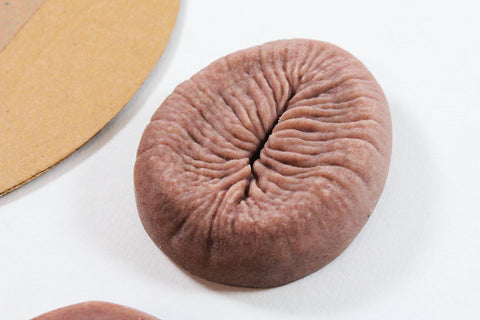 Billy's Bumhole - Fridge Magnet VALENTINES