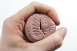 Billy's Bumhole - Fridge Magnet VALENTINES
