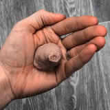 Little Willy Fridge Magnet - BIRTHDAY