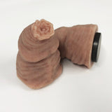 Little Willy Fridge Magnet - VALENTINES