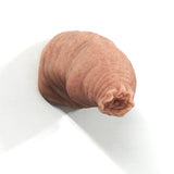Little Willy Fridge Magnet - BIRTHDAY